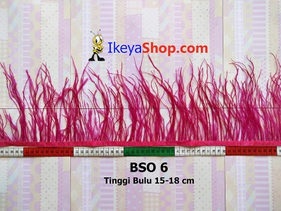 BSO 6  large2
